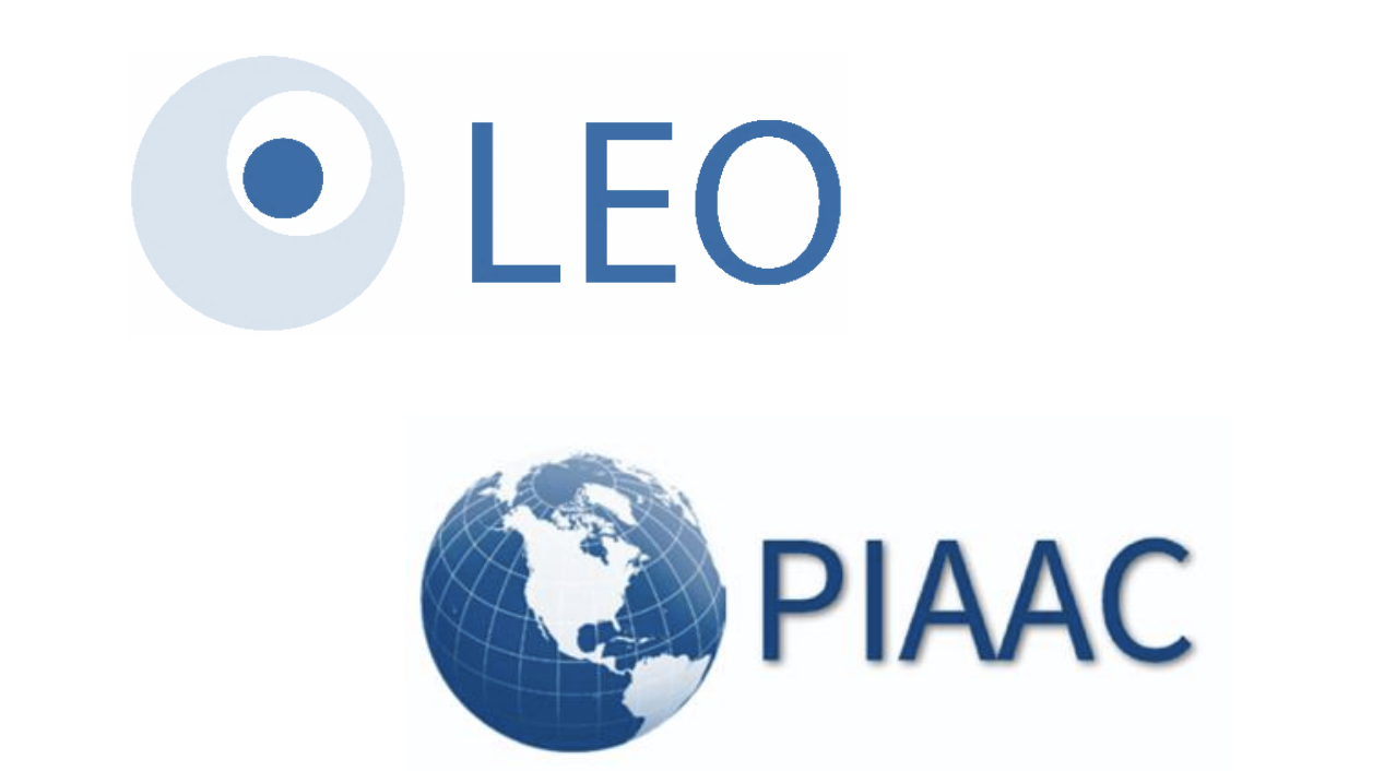 LEO PIAAC 2023 : beaucoup d’adultes ont encore du mal à acquérir des compétences de base